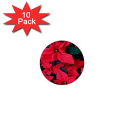 Red Poinsettia Flower 1  Mini Buttons (10 Pack) 