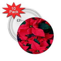 Red Poinsettia Flower 2 25  Buttons (10 Pack)  by Mariart