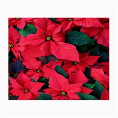 Red Poinsettia Flower Small Glasses Cloth by Mariart