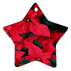 Red Poinsettia Flower Star Ornament (two Sides) by Mariart