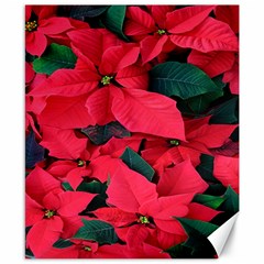 Red Poinsettia Flower Canvas 8  X 10  by Mariart