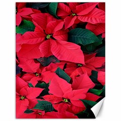 Red Poinsettia Flower Canvas 12  X 16   by Mariart