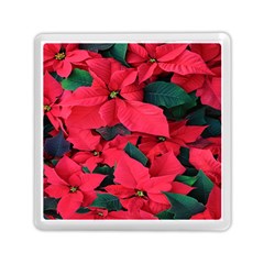 Red Poinsettia Flower Memory Card Reader (square) 