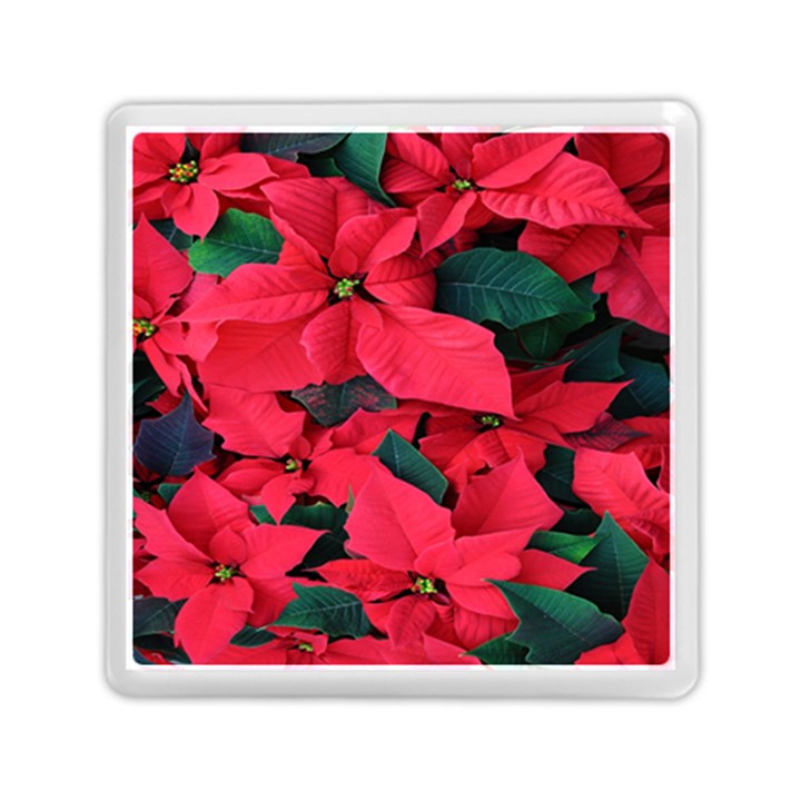 Red Poinsettia Flower Memory Card Reader (Square) 