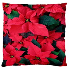 Red Poinsettia Flower Large Cushion Case (two Sides) by Mariart