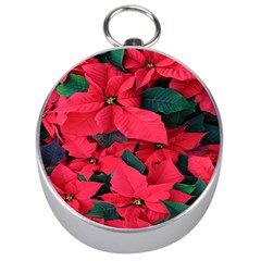 Red Poinsettia Flower Silver Compasses