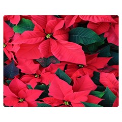 Red Poinsettia Flower Double Sided Flano Blanket (medium) 