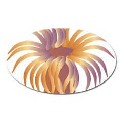 Sea Anemone Oval Magnet by Mariart