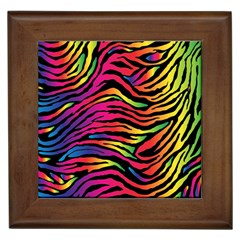 Rainbow Zebra Framed Tiles by Mariart