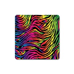 Rainbow Zebra Square Magnet by Mariart