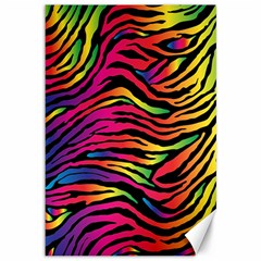 Rainbow Zebra Canvas 12  X 18  