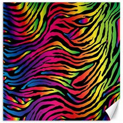 Rainbow Zebra Canvas 20  X 20  