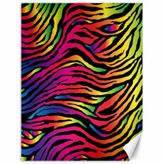 Rainbow Zebra Canvas 18  X 24   by Mariart