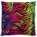 Rainbow Zebra Large Cushion Case (Two Sides) Front