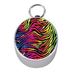 Rainbow Zebra Mini Silver Compasses by Mariart