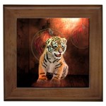 Cute Little Tiger Baby Framed Tiles Front