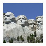 Mount Rushmore Monument Landmark Medium Glasses Cloth (2-Side) Front