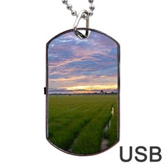 Landscape Sunset Sky Sun Alpha Dog Tag Usb Flash (one Side) by Nexatart