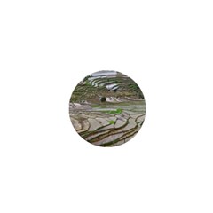 Rice Fields Terraced Terrace 1  Mini Magnets by Nexatart