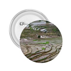 Rice Fields Terraced Terrace 2 25  Buttons by Nexatart