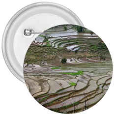 Rice Fields Terraced Terrace 3  Buttons by Nexatart