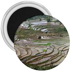 Rice Fields Terraced Terrace 3  Magnets Front