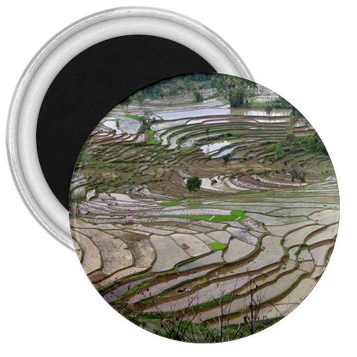 Rice Fields Terraced Terrace 3  Magnets