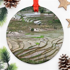 Rice Fields Terraced Terrace Ornament (round) by Nexatart