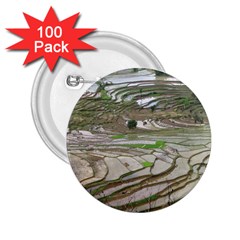 Rice Fields Terraced Terrace 2 25  Buttons (100 Pack)  by Nexatart