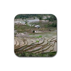 Rice Fields Terraced Terrace Rubber Coaster (square)  by Nexatart