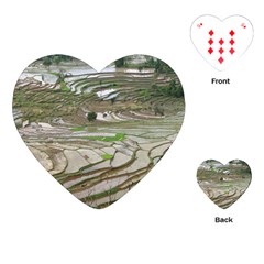 Rice Fields Terraced Terrace Playing Cards (heart)  by Nexatart