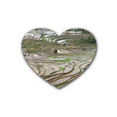 Rice Fields Terraced Terrace Rubber Coaster (heart)  by Nexatart