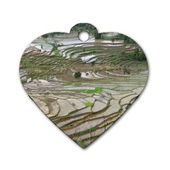 Rice Fields Terraced Terrace Dog Tag Heart (one Side) by Nexatart