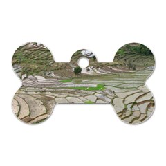 Rice Fields Terraced Terrace Dog Tag Bone (two Sides) by Nexatart