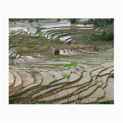 Rice Fields Terraced Terrace Small Glasses Cloth (2-side) by Nexatart