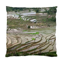 Rice Fields Terraced Terrace Standard Cushion Case (two Sides) by Nexatart