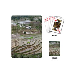 Rice Fields Terraced Terrace Playing Cards (mini)  by Nexatart