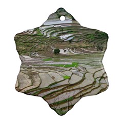 Rice Fields Terraced Terrace Ornament (snowflake) by Nexatart