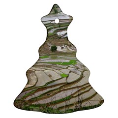 Rice Fields Terraced Terrace Ornament (christmas Tree)  by Nexatart