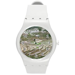 Rice Fields Terraced Terrace Round Plastic Sport Watch (m) by Nexatart