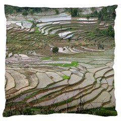 Rice Fields Terraced Terrace Large Cushion Case (one Side) by Nexatart