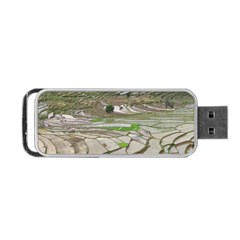 Rice Fields Terraced Terrace Portable Usb Flash (one Side) by Nexatart