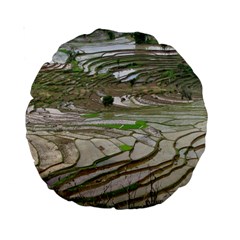 Rice Fields Terraced Terrace Standard 15  Premium Round Cushions by Nexatart