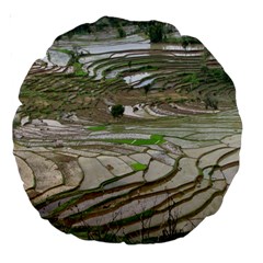 Rice Fields Terraced Terrace Large 18  Premium Round Cushions by Nexatart