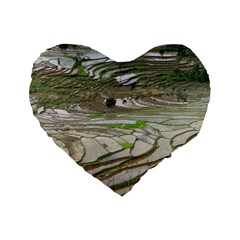 Rice Fields Terraced Terrace Standard 16  Premium Heart Shape Cushions by Nexatart