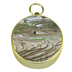 Rice Fields Terraced Terrace Gold Compasses by Nexatart