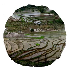 Rice Fields Terraced Terrace Large 18  Premium Flano Round Cushions by Nexatart