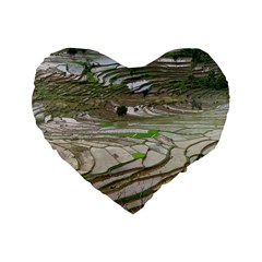 Rice Fields Terraced Terrace Standard 16  Premium Flano Heart Shape Cushions by Nexatart