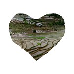 Rice Fields Terraced Terrace Standard 16  Premium Flano Heart Shape Cushions Back