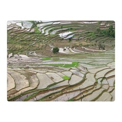 Rice Fields Terraced Terrace Double Sided Flano Blanket (mini)  by Nexatart